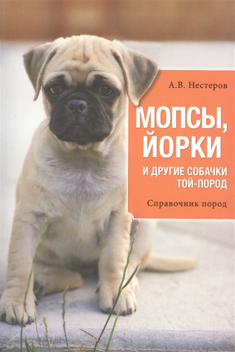 

Мопсы йорки и другие собачки той-пород Справочник пород