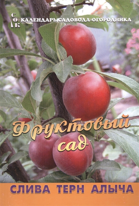 

Фруктовый сад Слива Терн Алыча