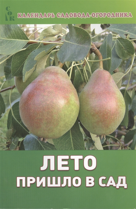 

Лето пришло в сад