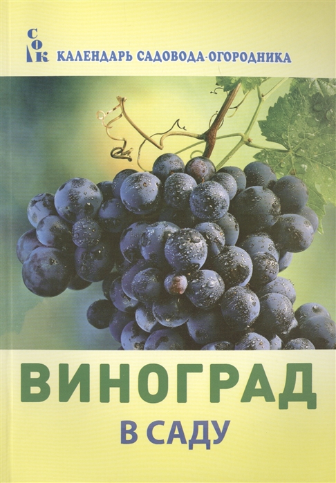 

Виноград в саду