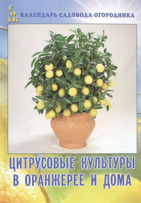 

Цитрусовые культуры в оранжерее и дома