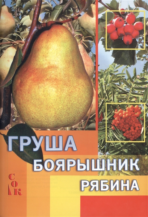 

Груша боярышник рябина
