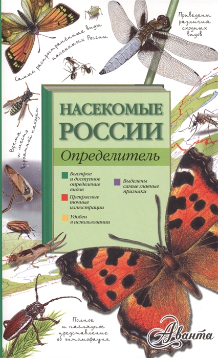 

Насекомые России Определитель