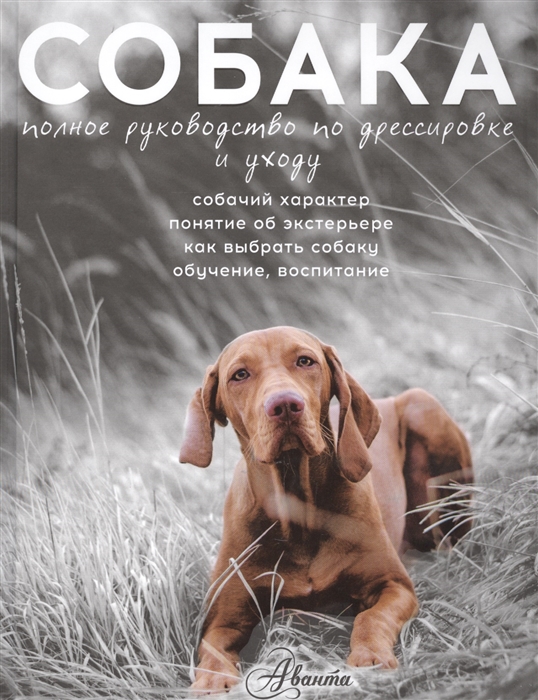 

Собака Полное руководство по дрессировке и уходу