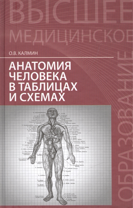 

Анатомия человека в таблицах и схемах Учебное пособие