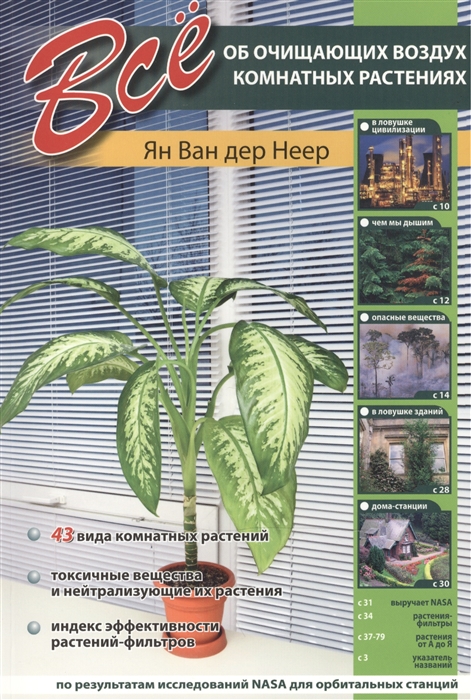 

Все об очищающих воздух комнатных растениях