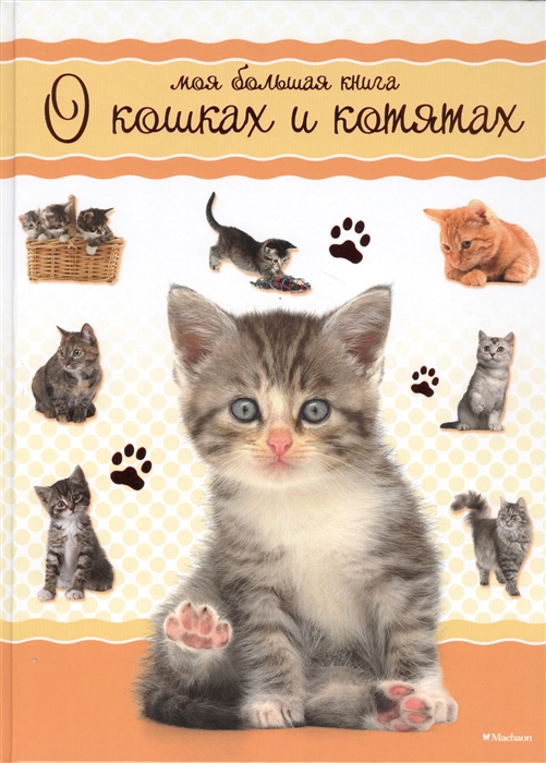 

Моя большая книга о кошках и котятах