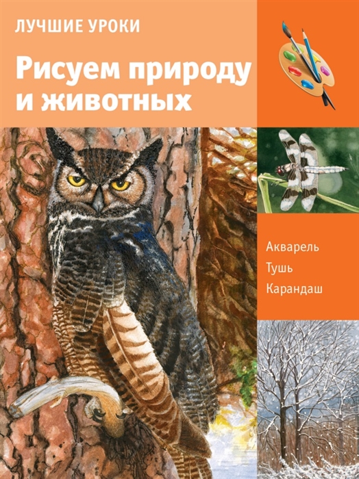 

Рисуем природу и животных Лучшие уроки
