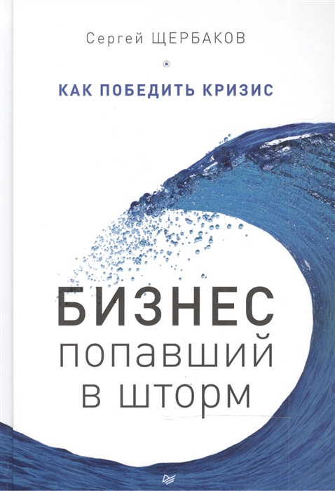 

Бизнес попавший в шторм Как победить кризис