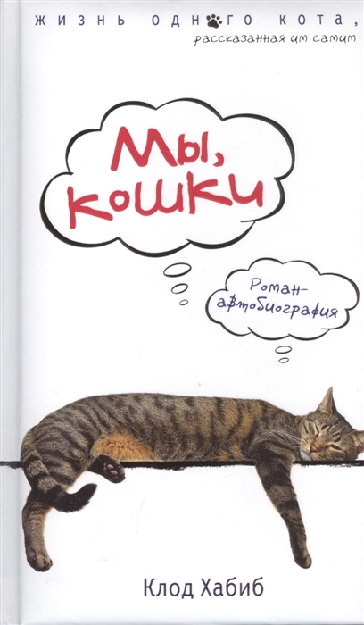 

Мы кошки