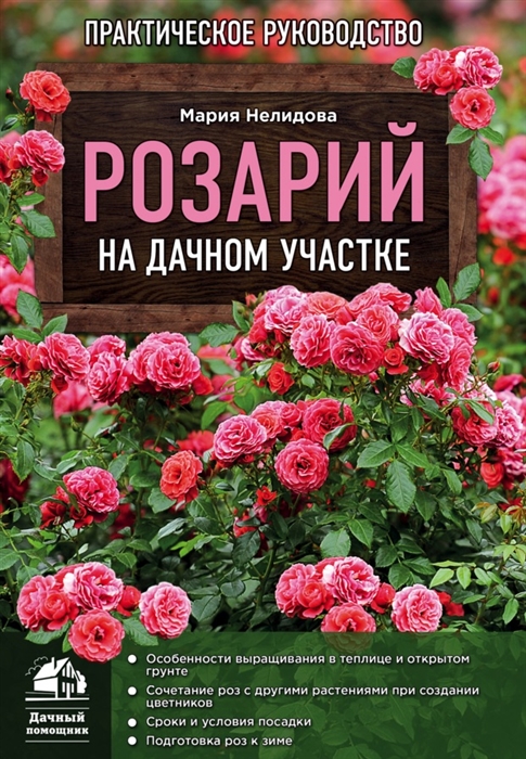 

Розарий на дачном участке