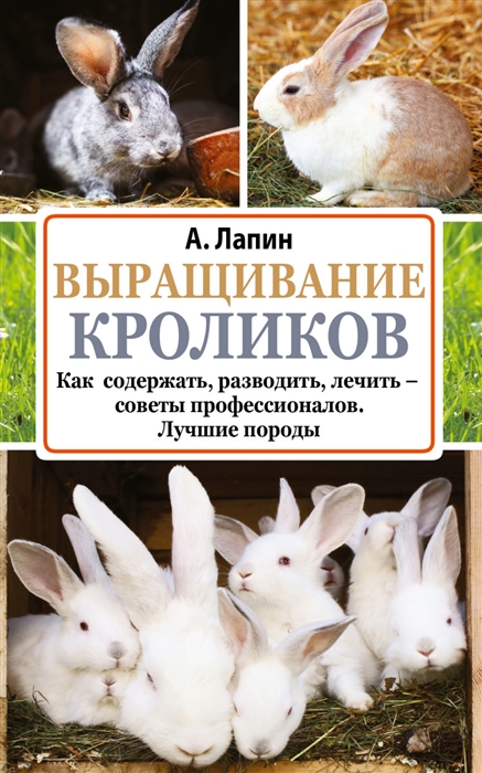 

Выращивание кроликов. Как содержать, разводить, лечить - советы профессионалов. Лучшие породы