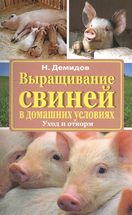 

Выращивание свиней в домашних условиях Уход и откорм