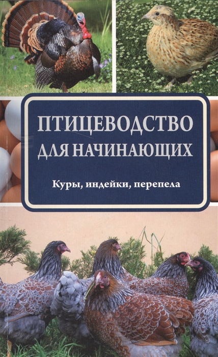 

Птицеводство для начинающих Куры индейки перепела