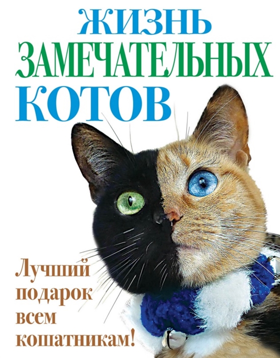 

Жизнь замечательных котов