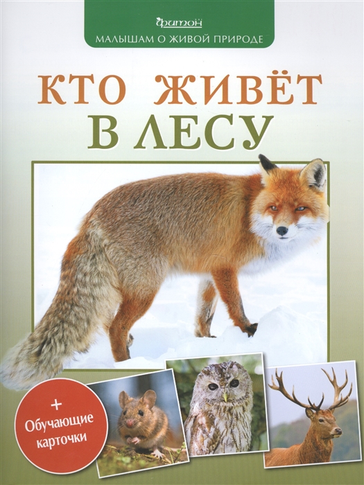 

Кто живет в лесу