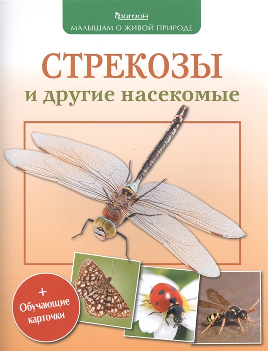 

Стрекозы и другие насекомые