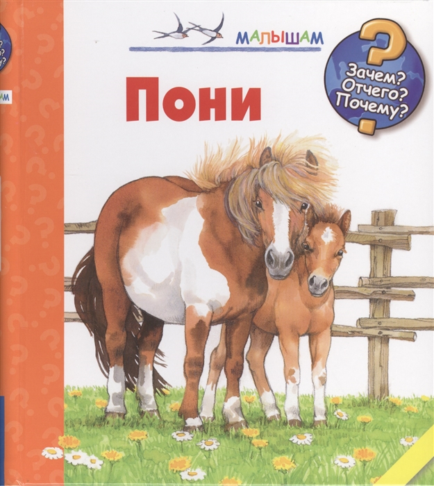 

Пони