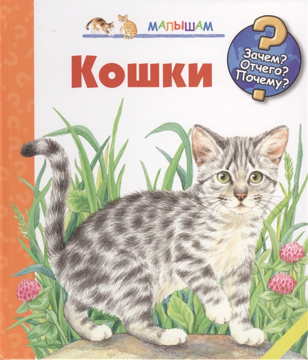 

Кошки