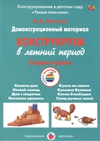 Конструируем в летний период. Старшая группа. Демонстрационный материал Конструируем в летний период. Старшая группа. Демонстрационный материал