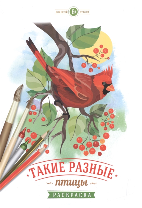 

Такие разные птицы Раскраска