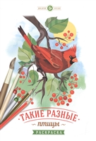 Такие разные птицы. Раскраска Такие разные птицы. Раскраска