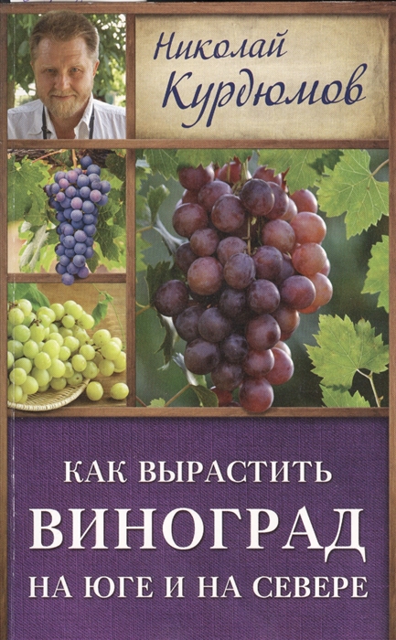 Как вырастить виноград на юге и на севере