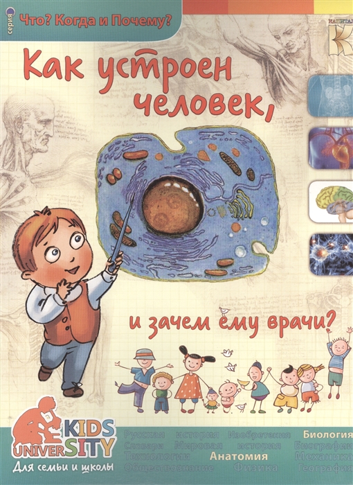 

Как устроен человек и зачем ему врачи Книга 1