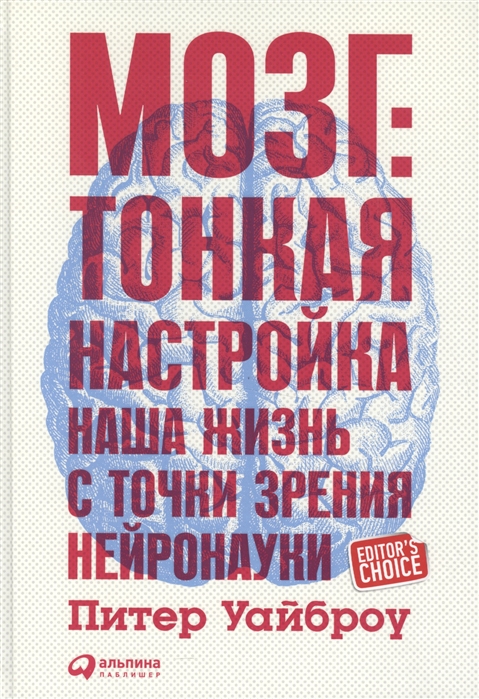 

Мозг Тонкая настройка