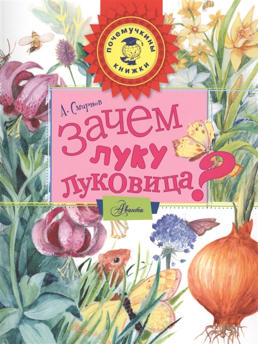 

Зачем луку луковица
