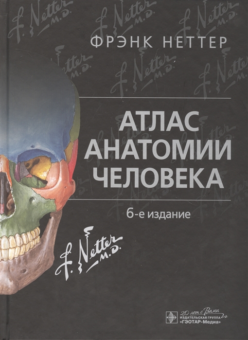 

Атлас анатомии человека