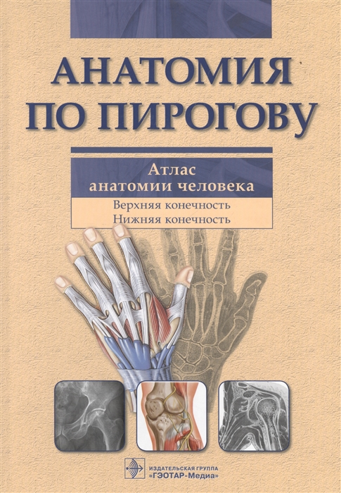 

Анатомия по Пирогову Атлас анатомии человека Том 1 Верхняя конечность Нижняя конечность CD