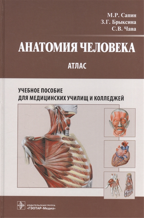 

Анатомия человека Атлас Учебное пособие для медицинских училищ и колледжей