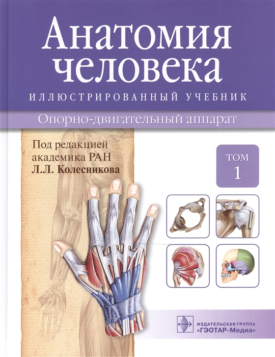 

Анатомия человека Учебник Том 1 Опорно-двигательный аппарат