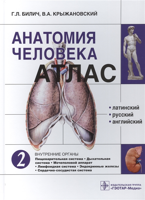 Билич Г., Крыжановский В. - Анатомия человека Атлас Том 2 Внутренние органы