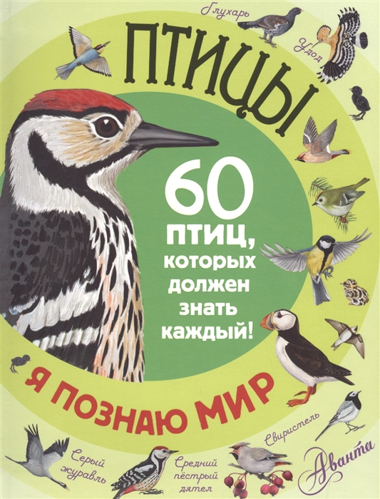 

Птицы 60 птиц которых должен знать каждый