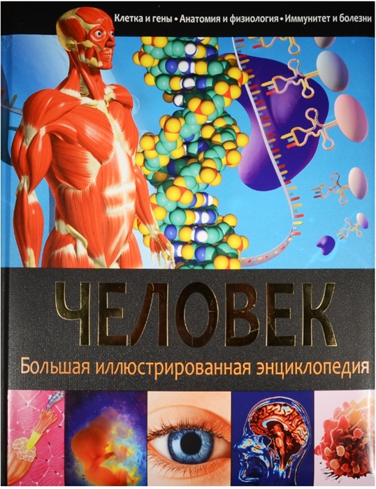 

Человек