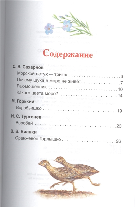 Содержание для читательского дневника оранжевое горлышко. Оранжевое горлышко сколько страниц. Бианки оранжевое горлышко книга. Оранжевое горлышко план.