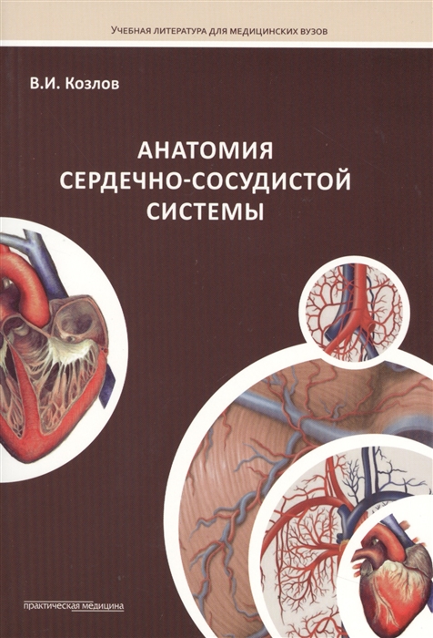 Козлов В. - Анатомия сердечно-сосудистой системы Учебное пособие