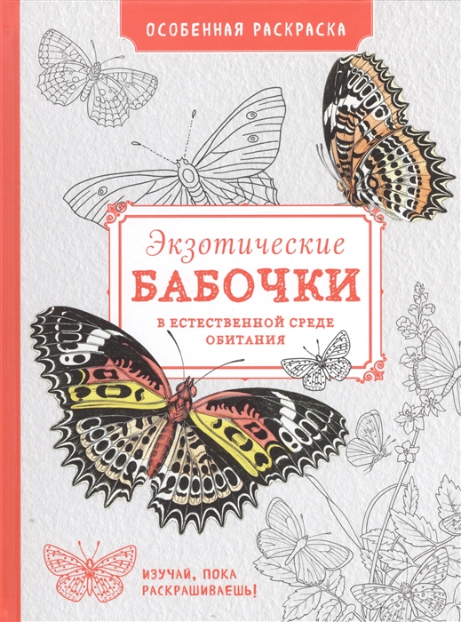 

Экзотические бабочки в естественной среде обитания особенная раскраска