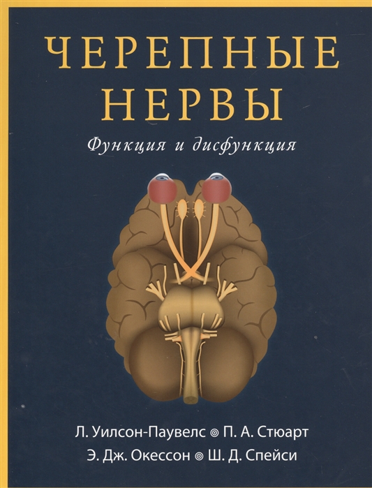 

Черепные нервы Функция и дисфункция