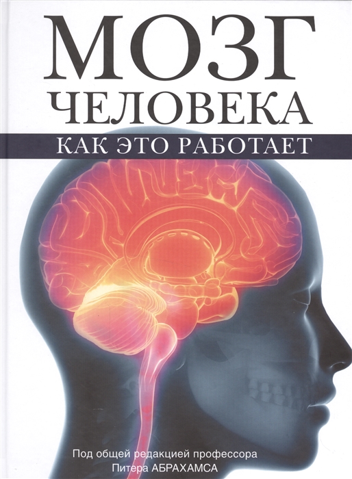 

Мозг человека. Как это работает