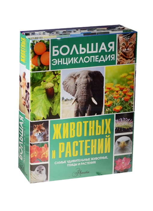 

Большая энциклопедия животных и растений Самые удивительные животные птицы и растения комплект из 3 книг