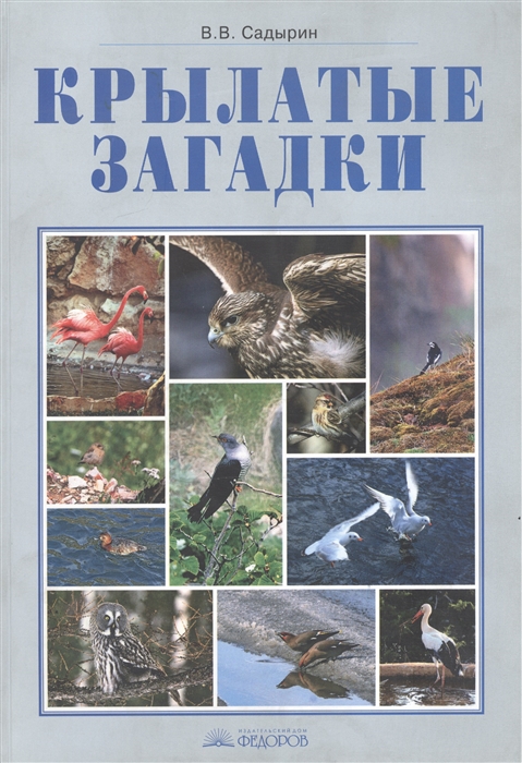 

Крылатые загадки 3-4 классы
