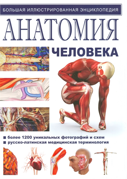 

Иллюстрированная атлас Анатомия