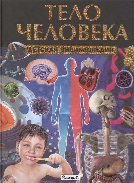 Тело человека Детская энциклопедия