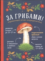 За грибами. Карманный атлас-определитель За грибами. Карманный атлас-определитель