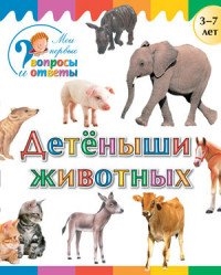 

Детеныши животных 3-7 лет