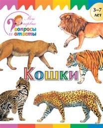 

Кошки 3-7 лет