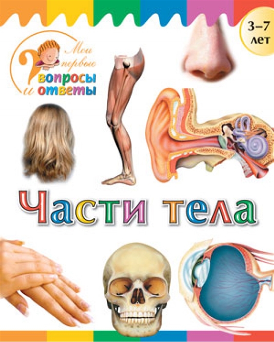 

Части тела 3-7 лет